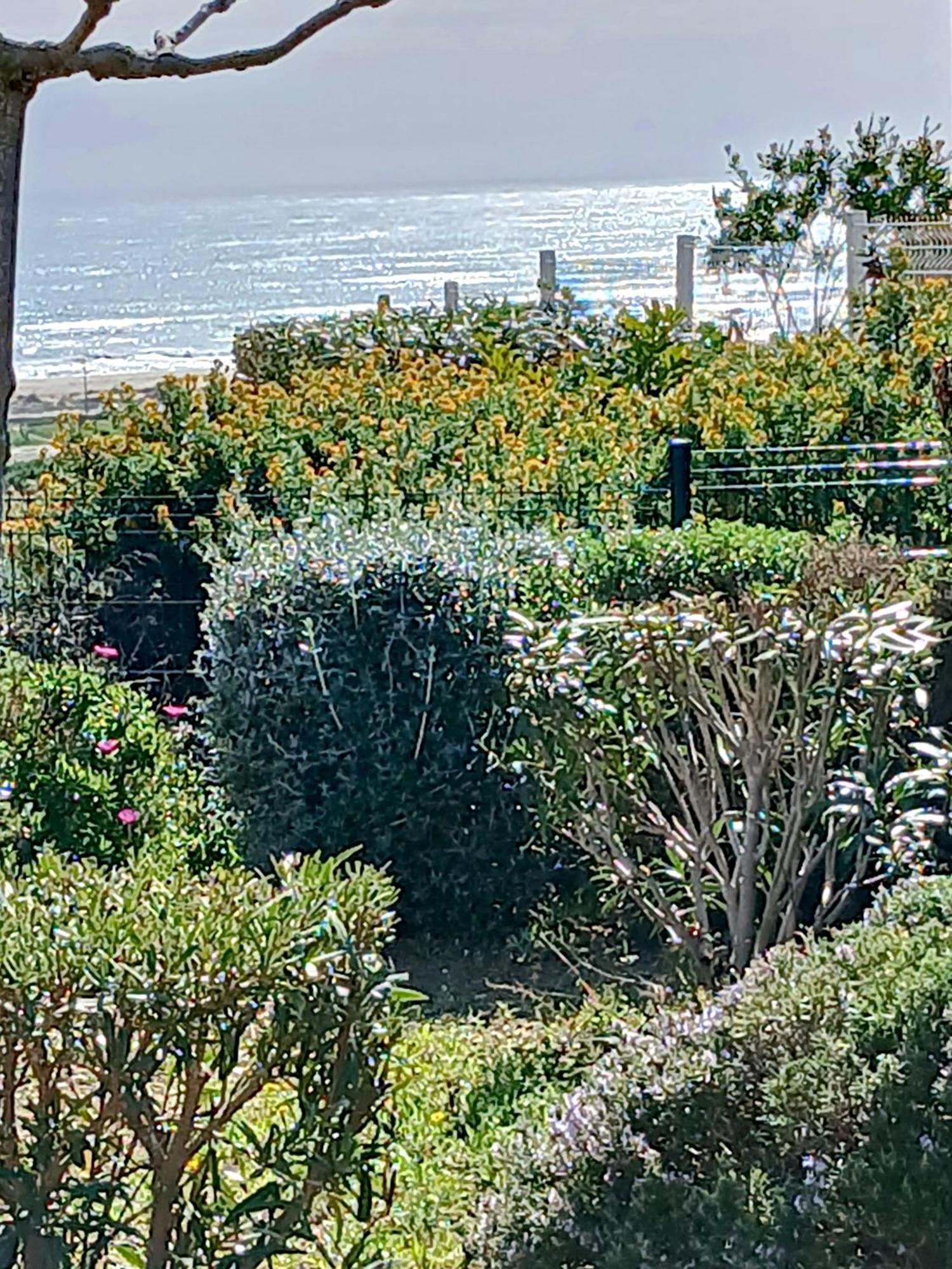 Saint-Pierre-la-Mer  Plain-Pied Jardin 6 Personnes Clim Vue Mer Parking Wifi Terrasse Piscine Dans La Residence מראה חיצוני תמונה