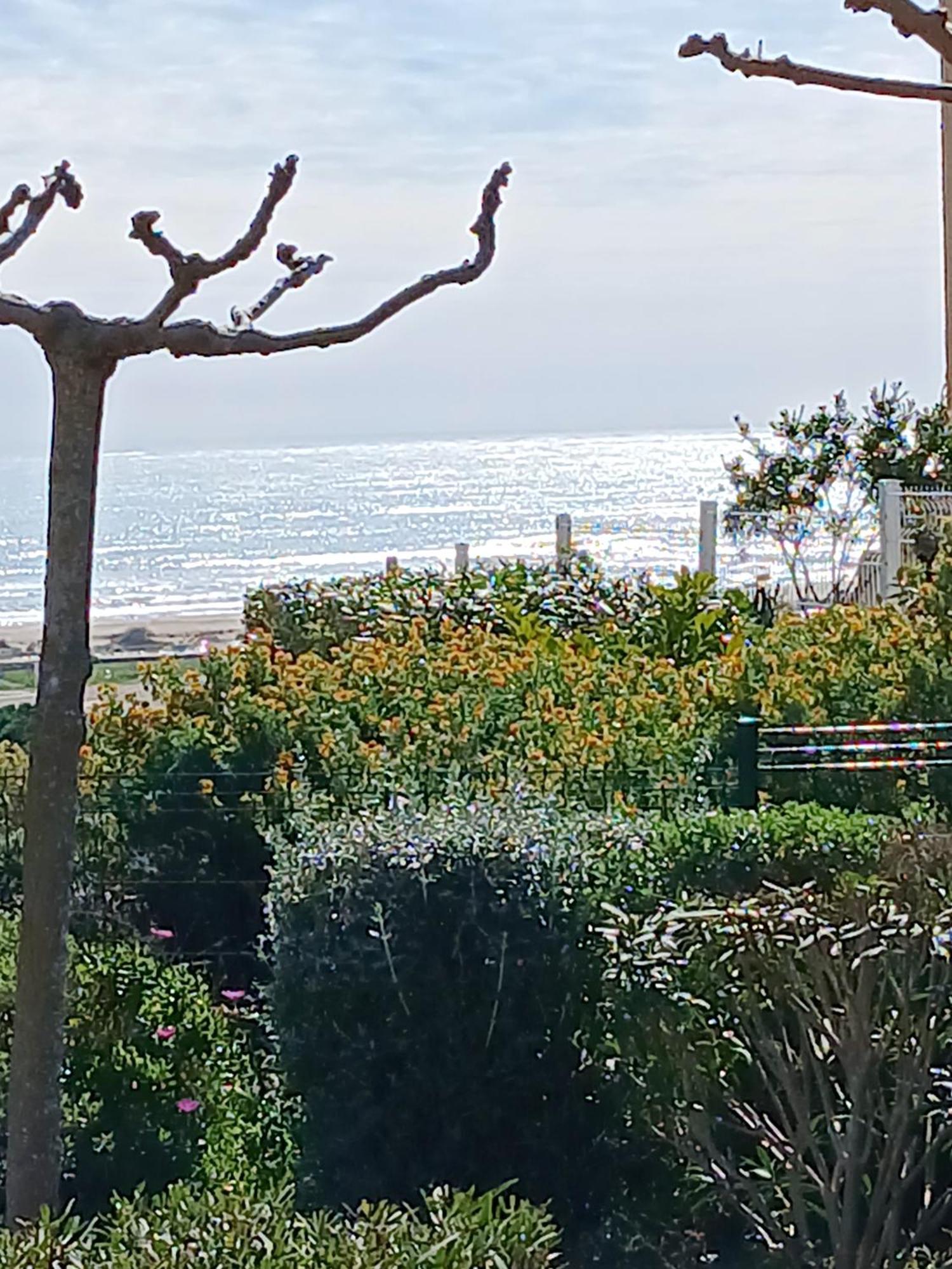 Saint-Pierre-la-Mer  Plain-Pied Jardin 6 Personnes Clim Vue Mer Parking Wifi Terrasse Piscine Dans La Residence מראה חיצוני תמונה